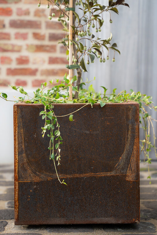 Cortenstalen Boombak inclusief beplanting 40x40x40cm
