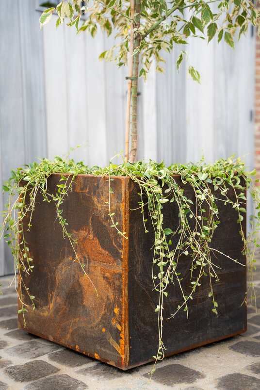 Cortenstalen Boombak inclusief beplanting 60x60x60cm