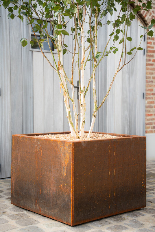 Cortenstalen Boombak inclusief boom en beplanting 80x80x80cm