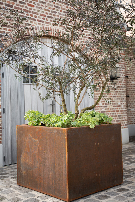 Cortenstalen Boombak inclusief beplanting 100x100x80cm