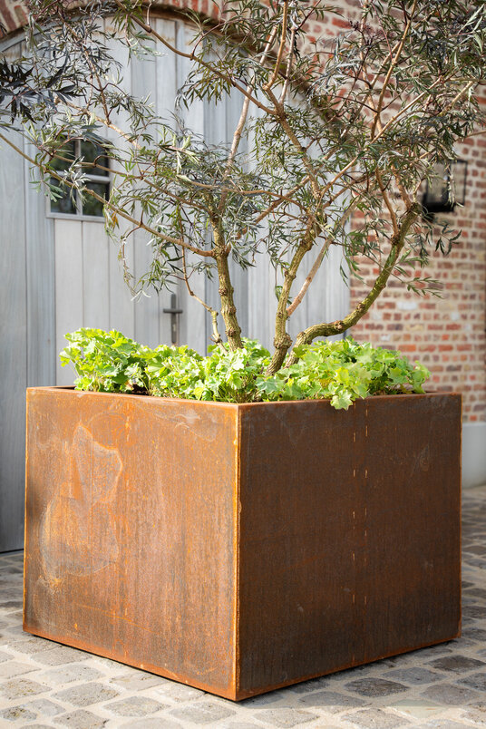 Cortenstalen Boombak inclusief beplanting 100x100x80cm