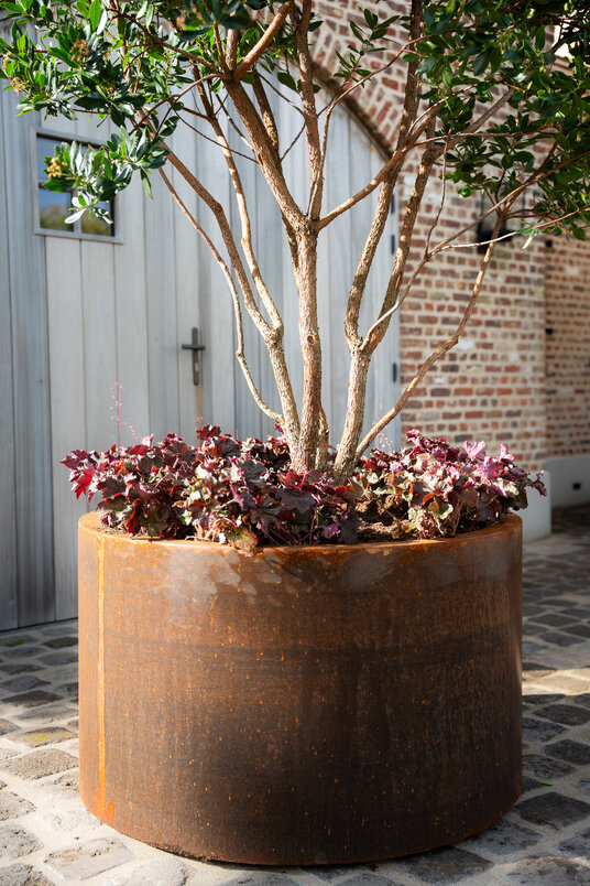 Cortenstalen Boombak inclusief beplanting 100x60cm