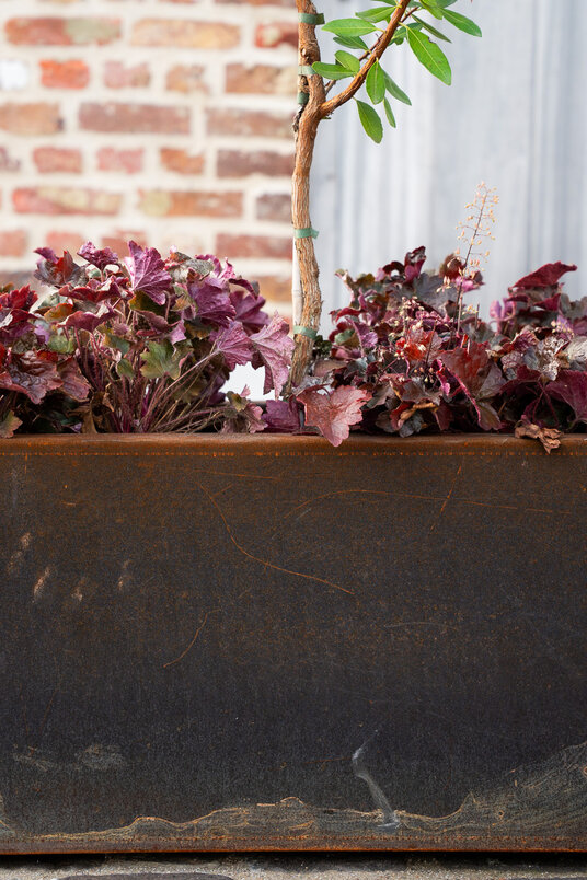 Cortenstalen Boombak inclusief beplanting 80x40x40cm