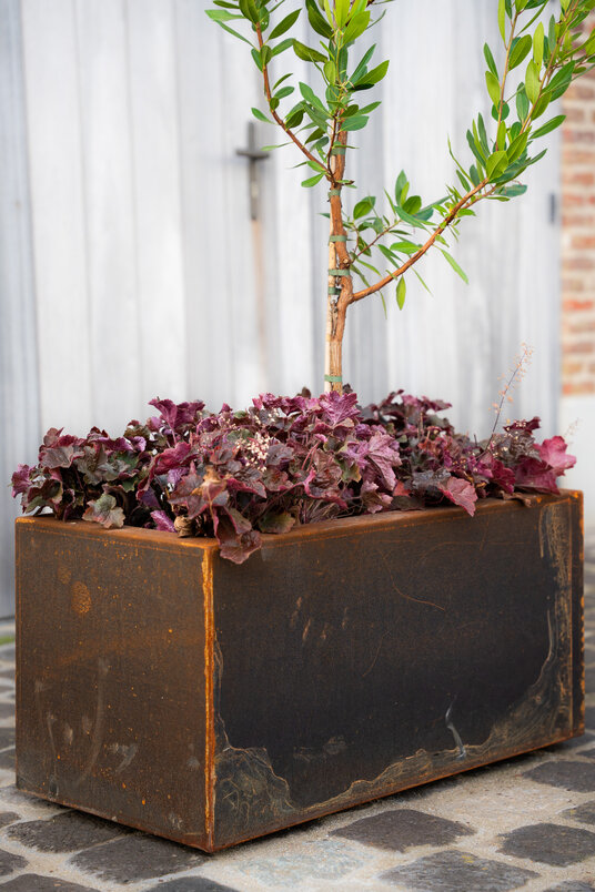 Cortenstalen Boombak inclusief beplanting 80x40x40cm