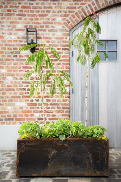 Cortenstalen Boombak inclusief beplanting 100x40x40