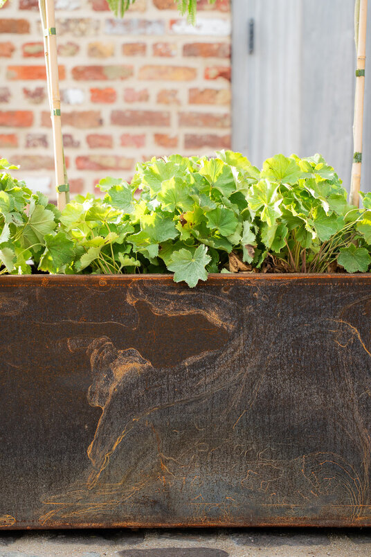 Cortenstalen Boombak inclusief beplanting 100x40x40