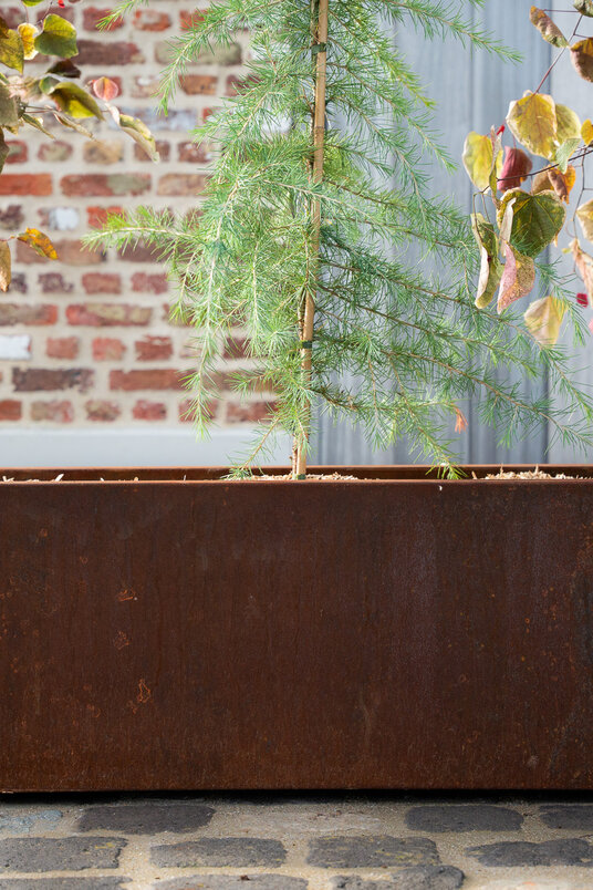 Tree box 150x40x40cm