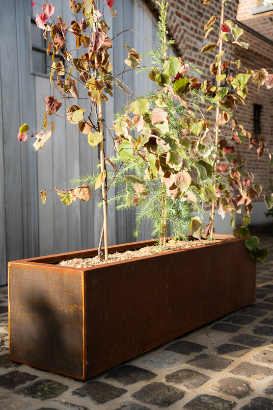 Cortenstalen Boombak inclusief beplanting 150x40x40cm