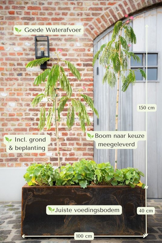 Cortenstalen Boombak inclusief beplanting 100x40x40