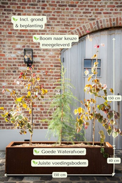 Cortenstalen Boombak inclusief beplanting 150x40x40cm