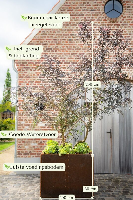 Tree box 100x100x80cm