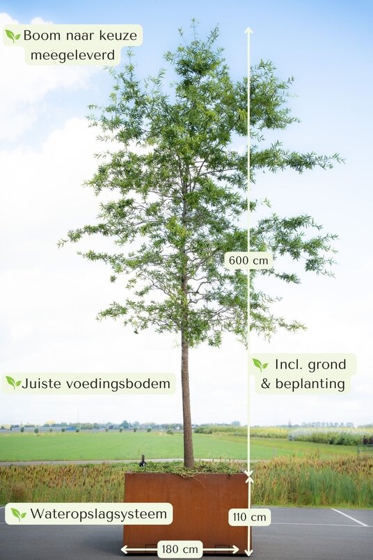 Cortenstalen Boombak inclusief beplanting en reservoir 180x180x110cm
