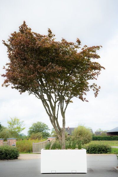 Boombak inclusief beplanting en reservoir 240x240x110cm