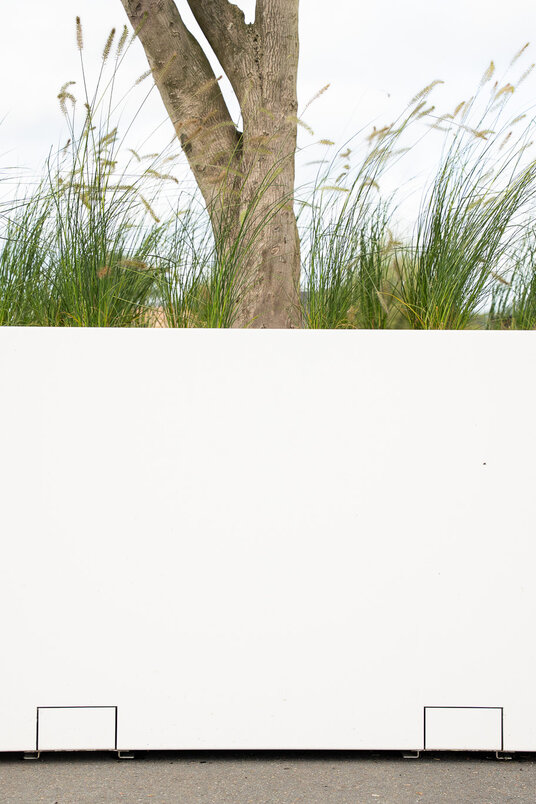 Tree box 240x240x110cm