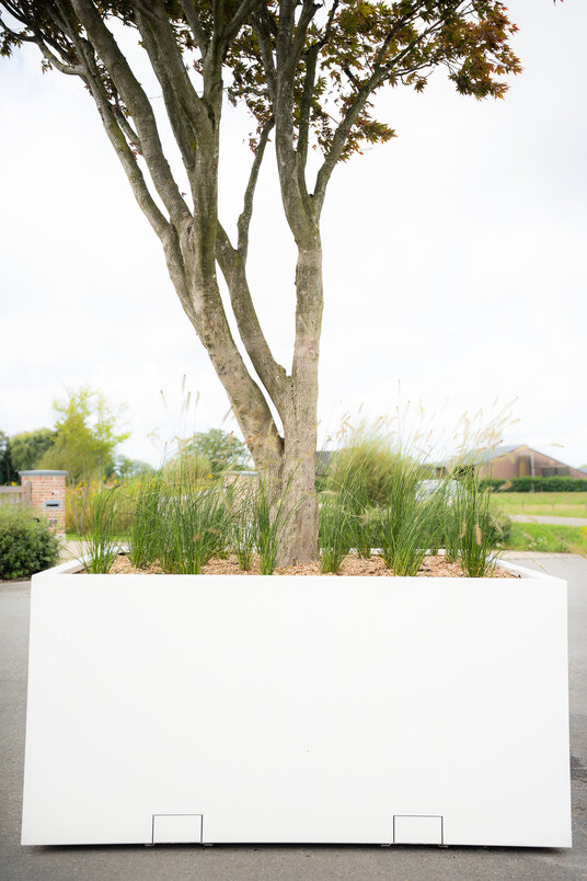 Tree box 240x240x110cm