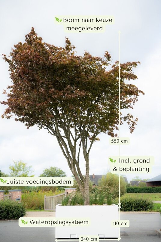 Boombak inclusief beplanting en reservoir 240x240x110cm