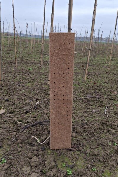 Kokos plantbeschermer