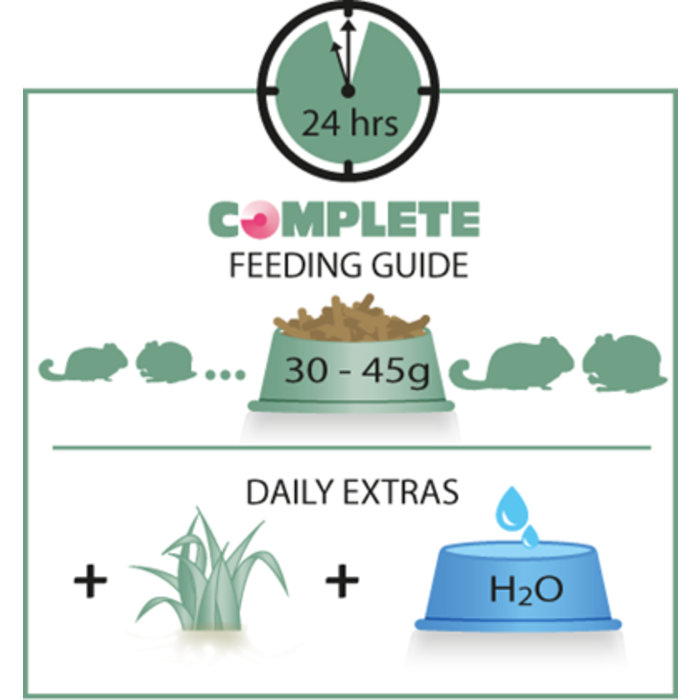 Versele Laga Complete Complete chinchilla & degoe