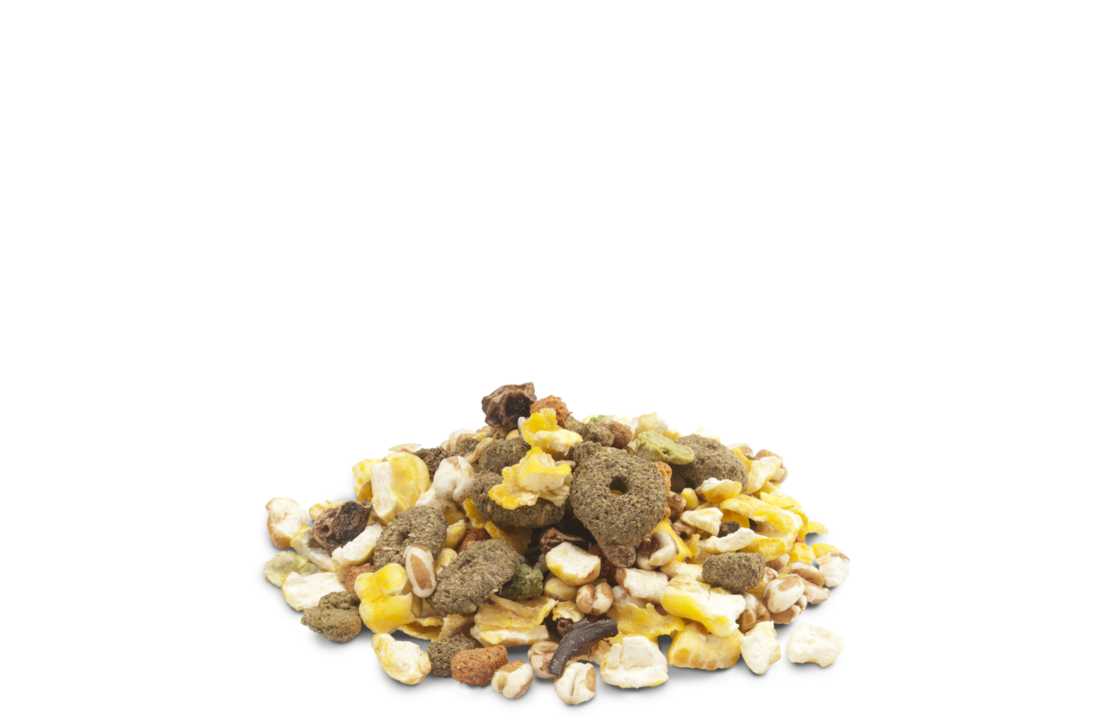 Snack Popcorn