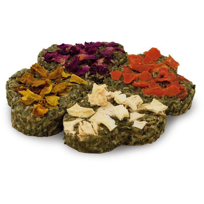 JR FARM Grainless Gelukskwartet 60 gram