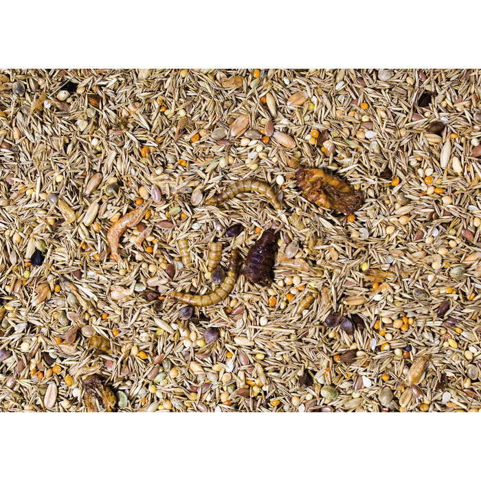 JR FARM Kleine knaagdieren specialiteit