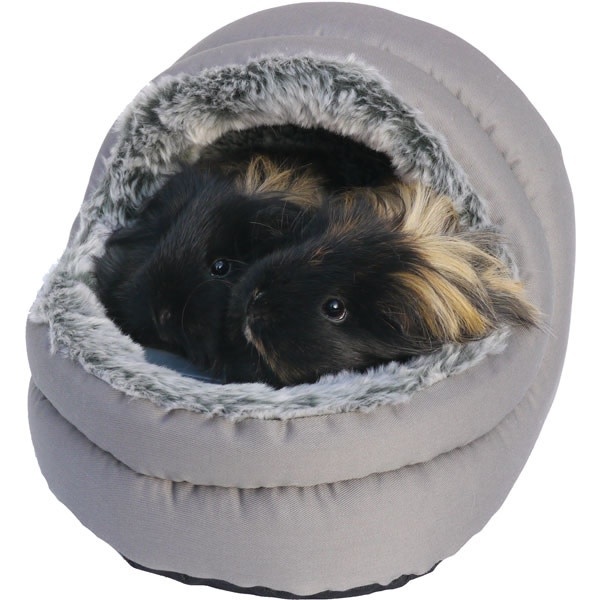 Snuggles iglo