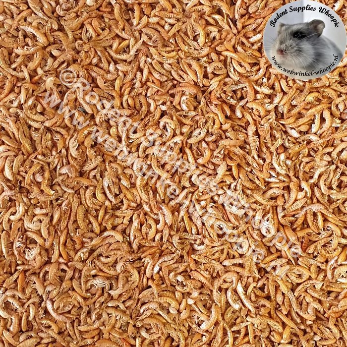 Whoopie Gammarus (vlokreeftjes)