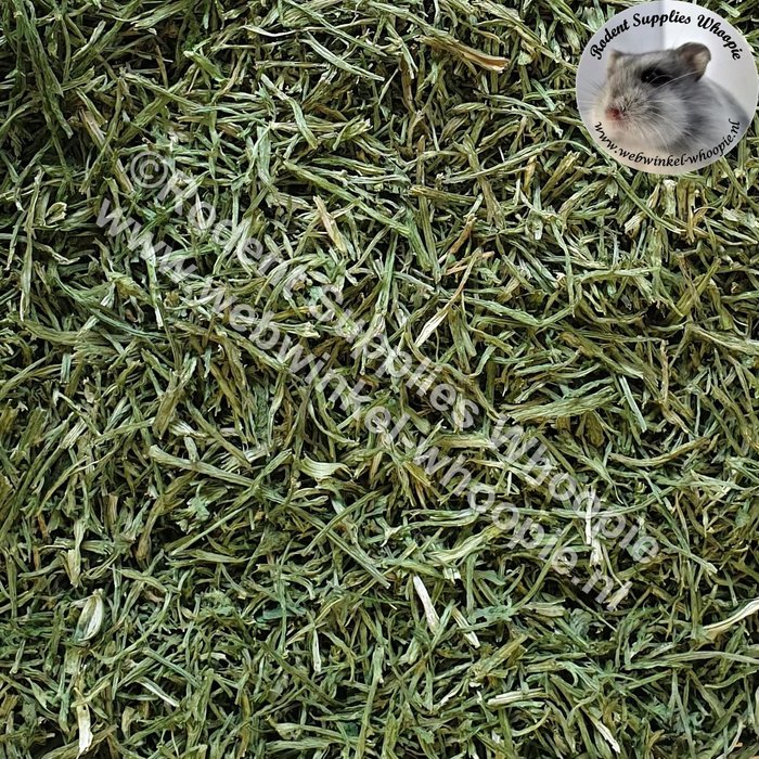 Whoopie Selderij steeltjes