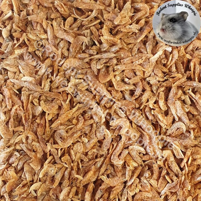 Whoopie (OP=OP) Zoetwatergarnalen groot (THT 05-2025)