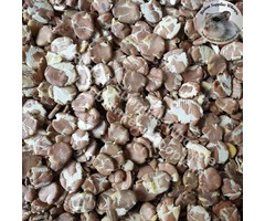 Whoopie Tuinboonvlokken