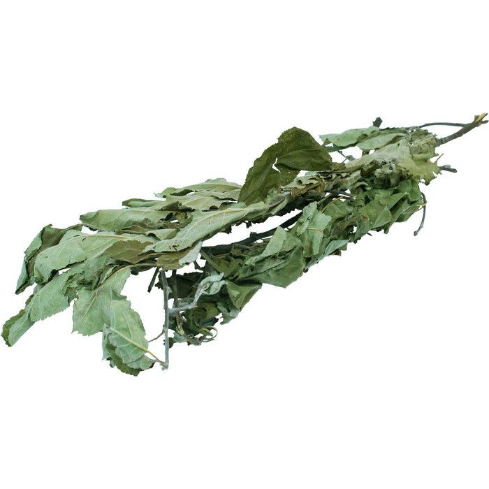 JR FARM Appelboom oogst 40 gram