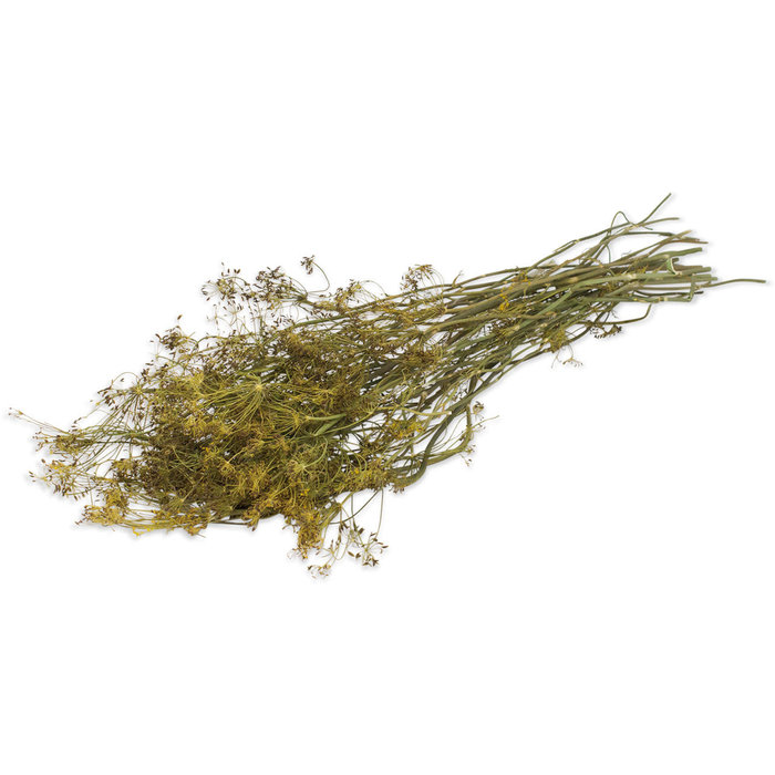 JR FARM Dille oogst 80 gram