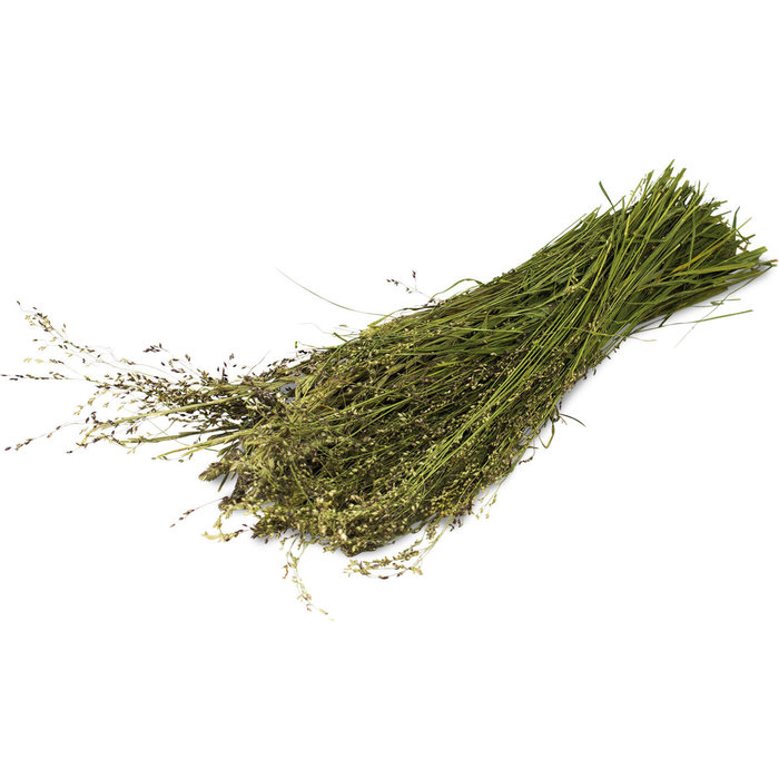 JR FARM Wilde grassen oogst 80 gram