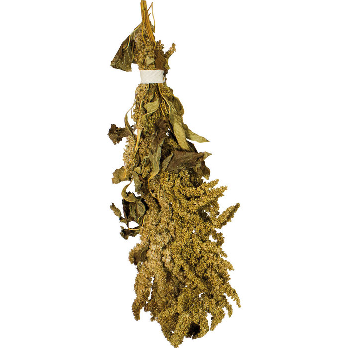 JR FARM Amaranth 30 gram