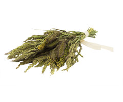 JR FARM Gierst potpourri 50 gram