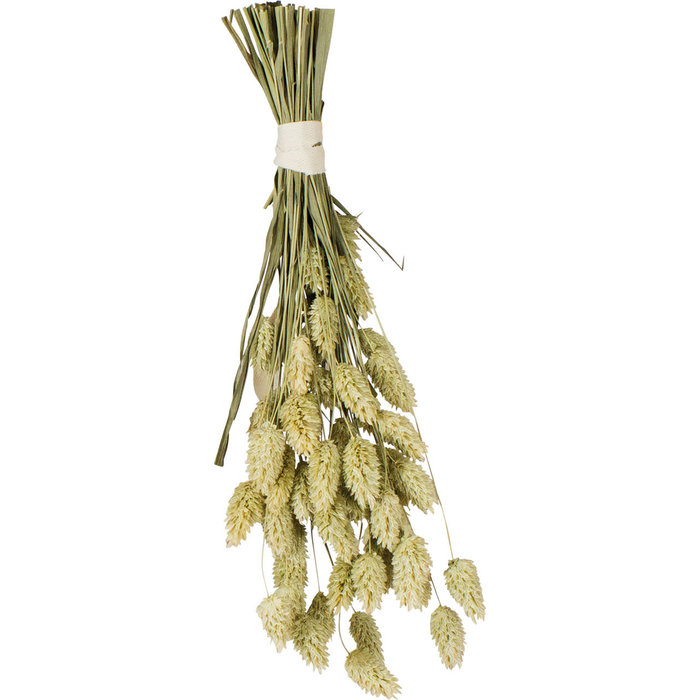 JR FARM Kanariezaad 20 gram