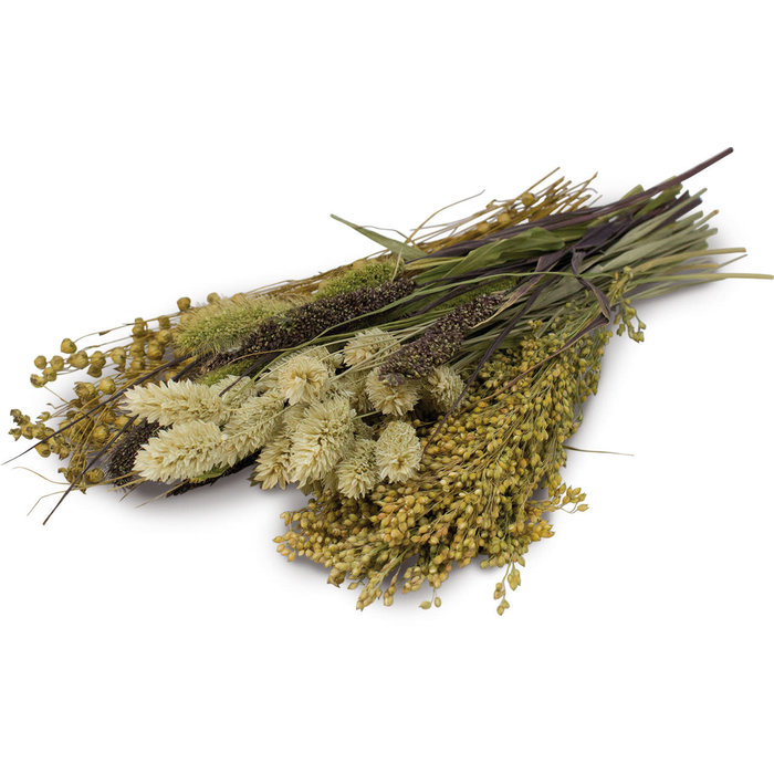 JR FARM Knabbel potpourri 50 gram