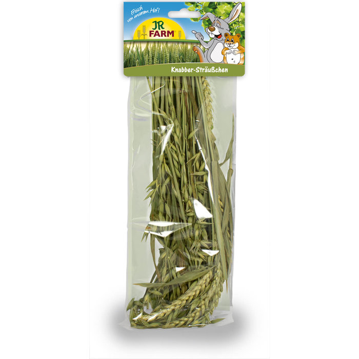 JR FARM Knabbel bosje 25 gram