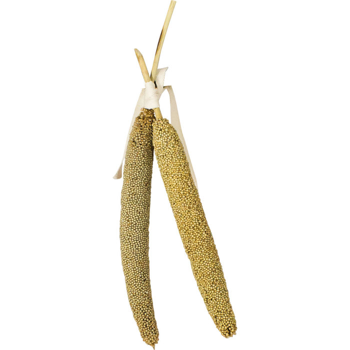 JR FARM Parelgierst 40 gram