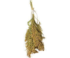 JR FARM Pluimgierst 100 gram