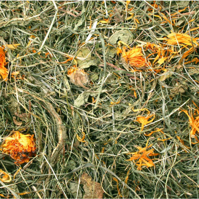 JR FARM Paardenbloemweide hooi 500 gram