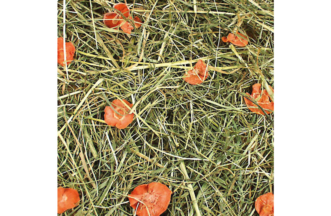 Wortelweide hooi 500 gram