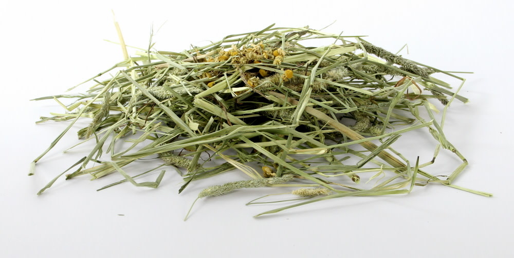 Timothy Hay Kamille 600 gram