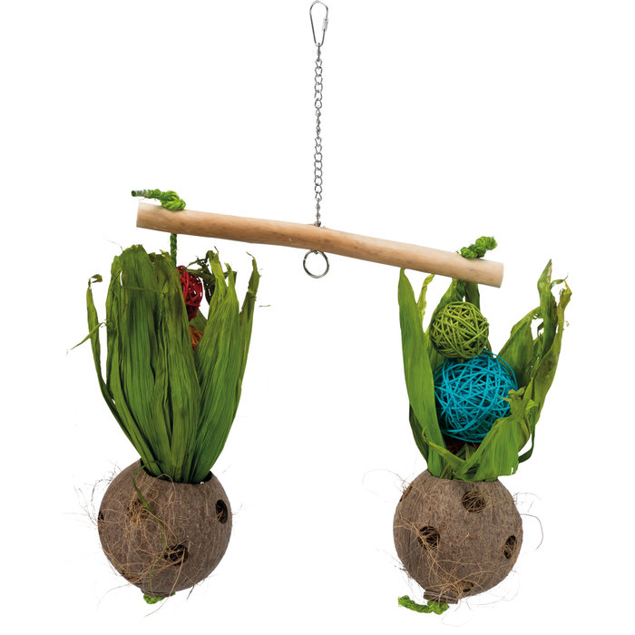 Trixie Wip met Kokosnoten