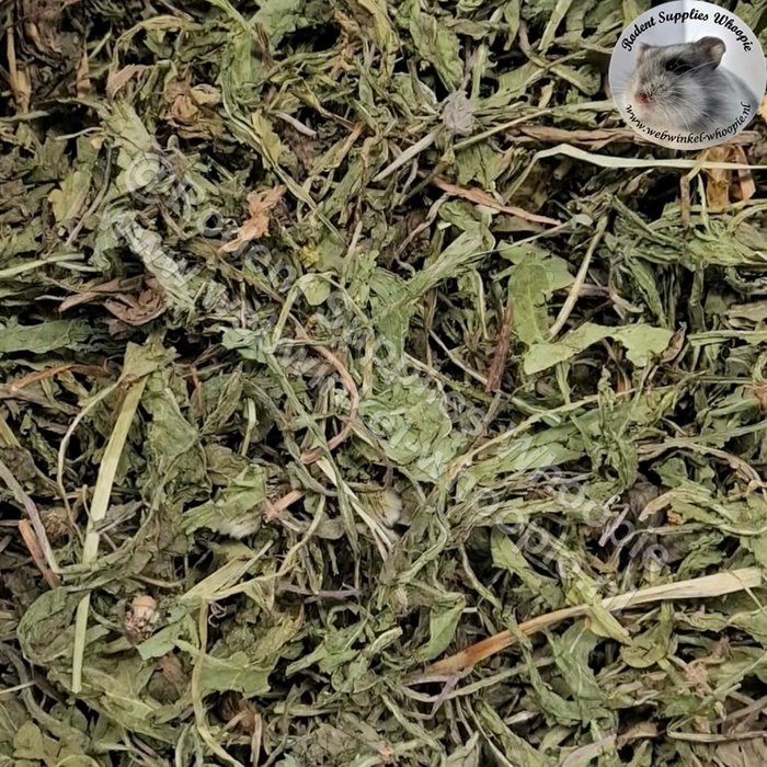 Whoopie Paardenbloemblad