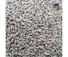 Whoopie Gepelde zonnebloempitten (THT 09-2025)