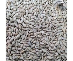 Whoopie Gepelde zonnebloempitten