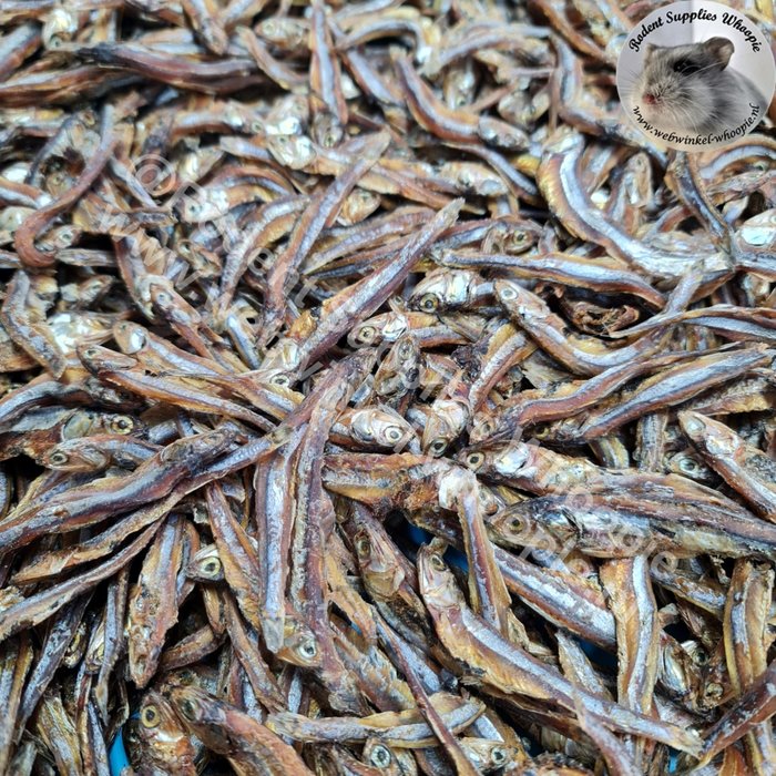 Whoopie Ansjovis (OP=OP)