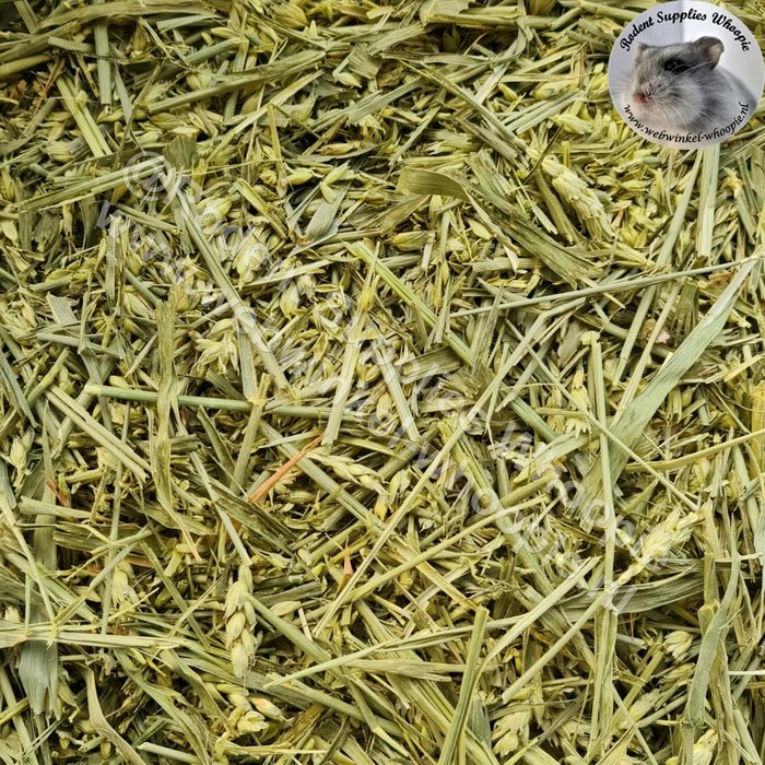 Whoopie Groene tarwe