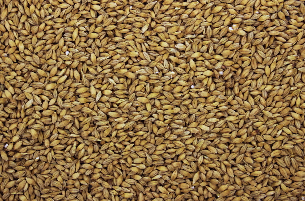 Gerst 1 kg